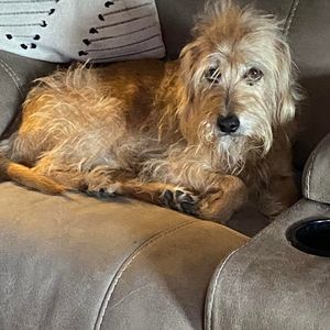 Meet your Posher, Myra